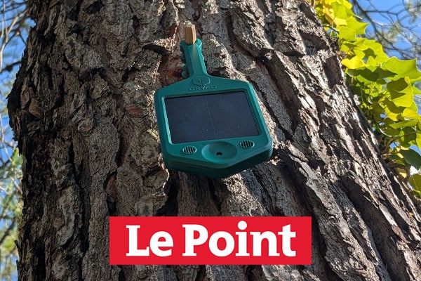 vignette-dryad-le-point
