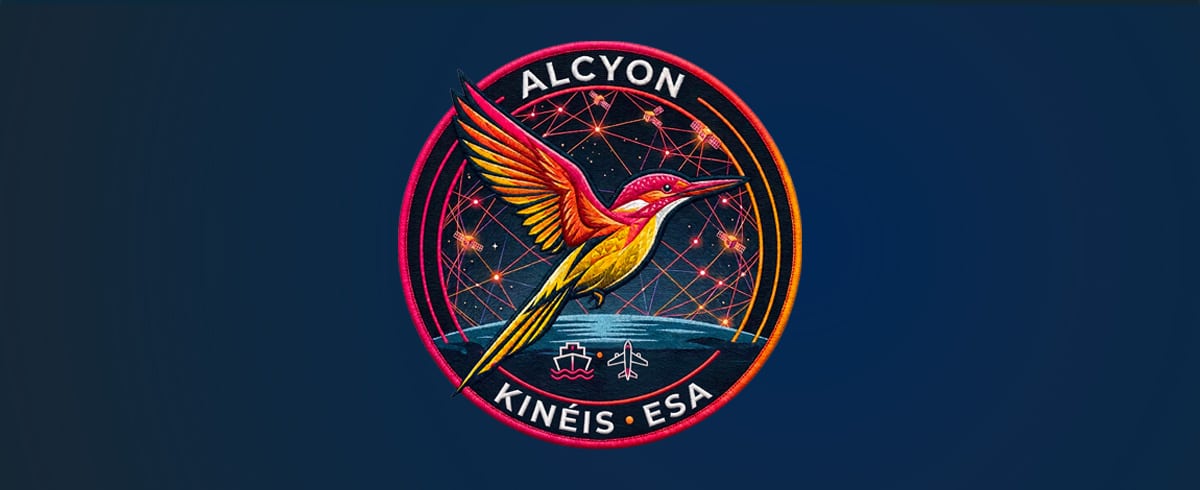 alycon_BN